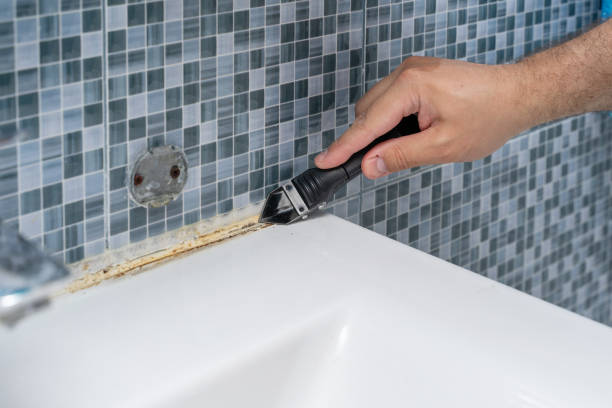 Professional Mold Removal in Mims, FL